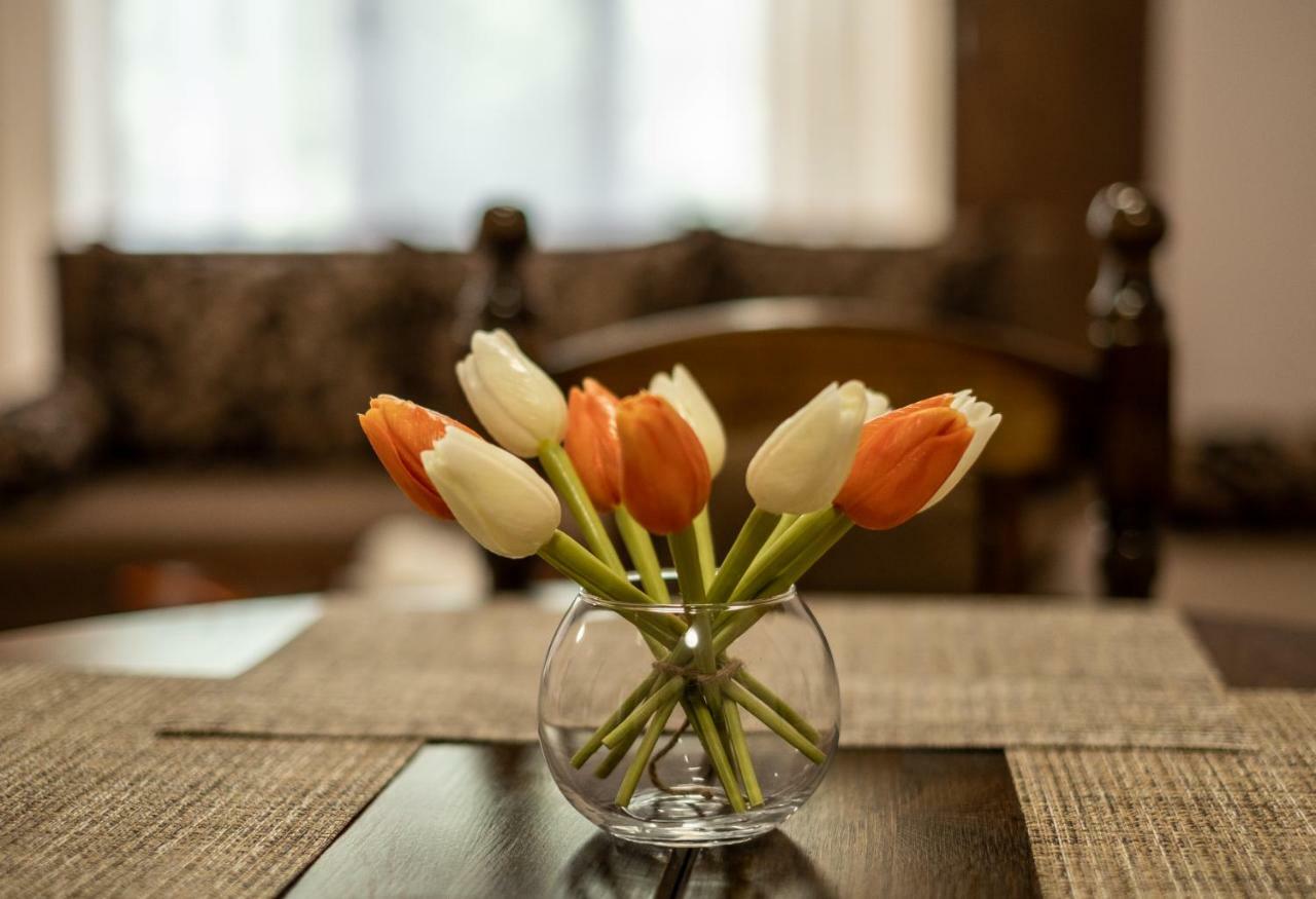 Alex Apartment Velingrad Buitenkant foto