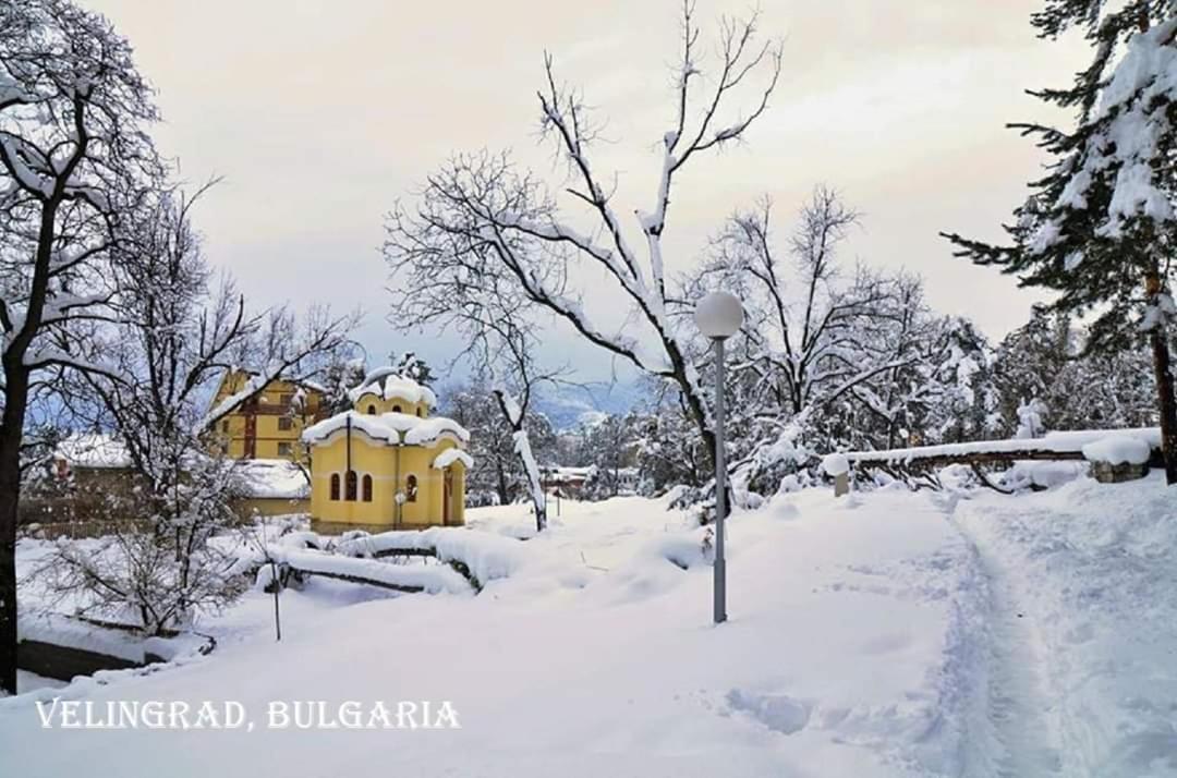 Alex Apartment Velingrad Buitenkant foto